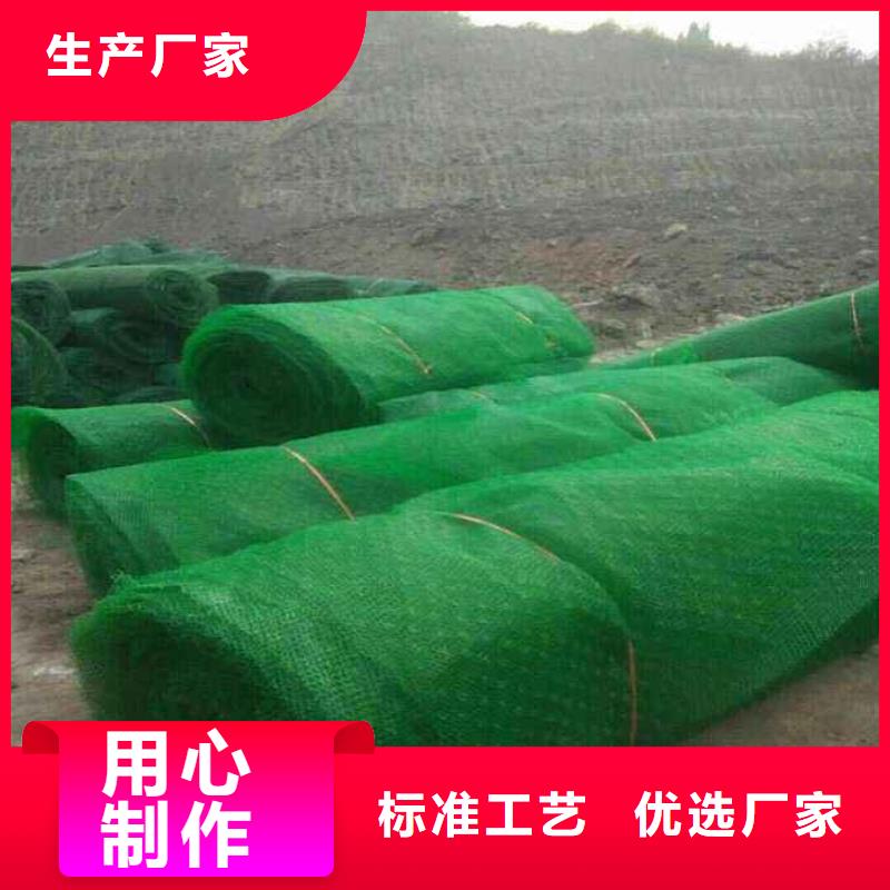 三维植被网HDPE黑色土工膜质量看得见