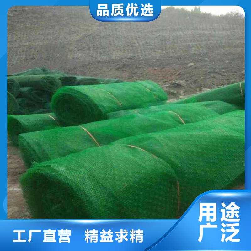 三维植被网土工格室实体厂家支持定制