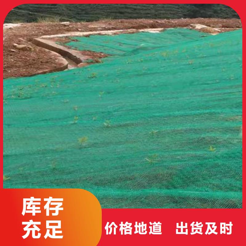 【三维植被网】_三维土工网垫制造厂家