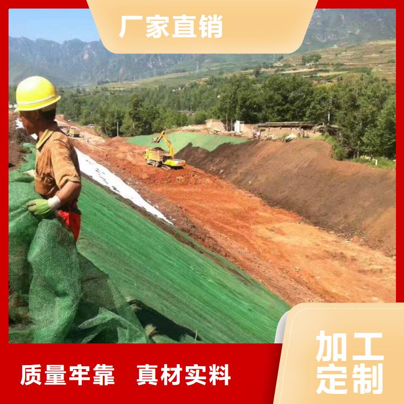 三维植被网,【蜂巢格室】快速物流发货同城品牌