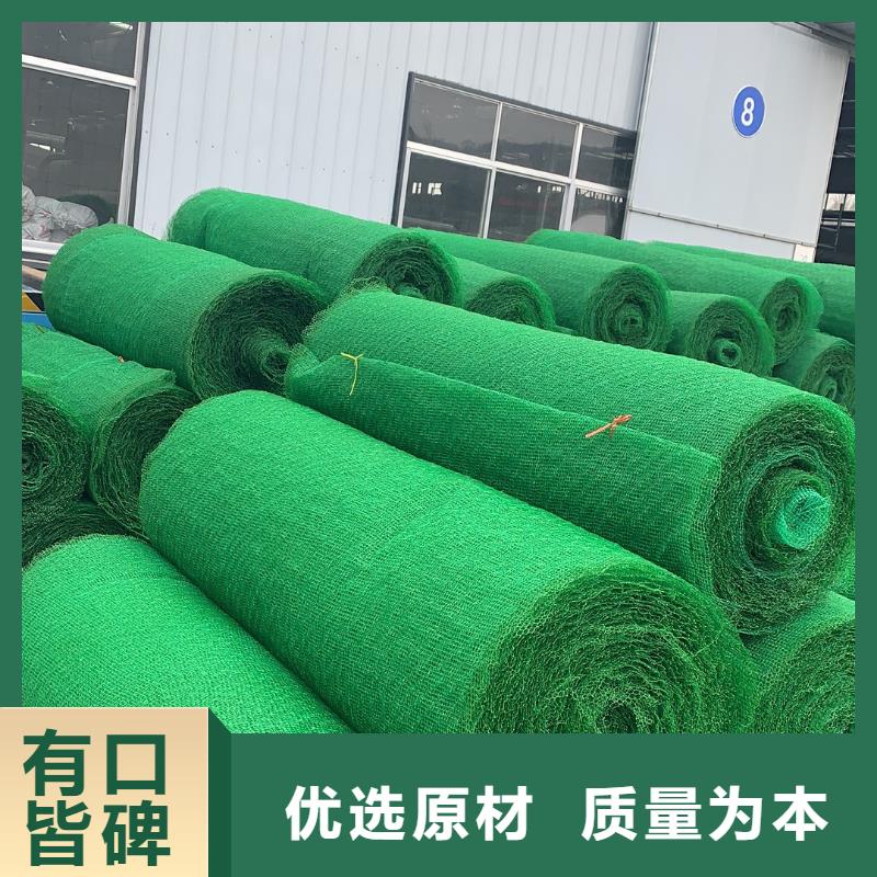 三维植被网HDPE黑色土工膜质量看得见