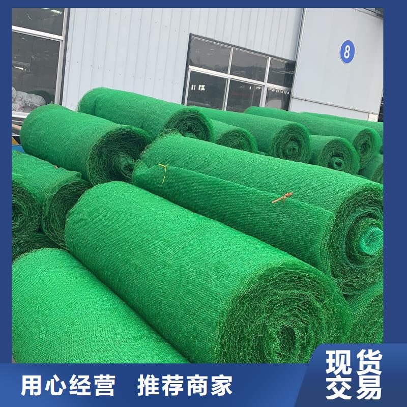 三维植被网,【蜂巢格室】快速物流发货同城品牌