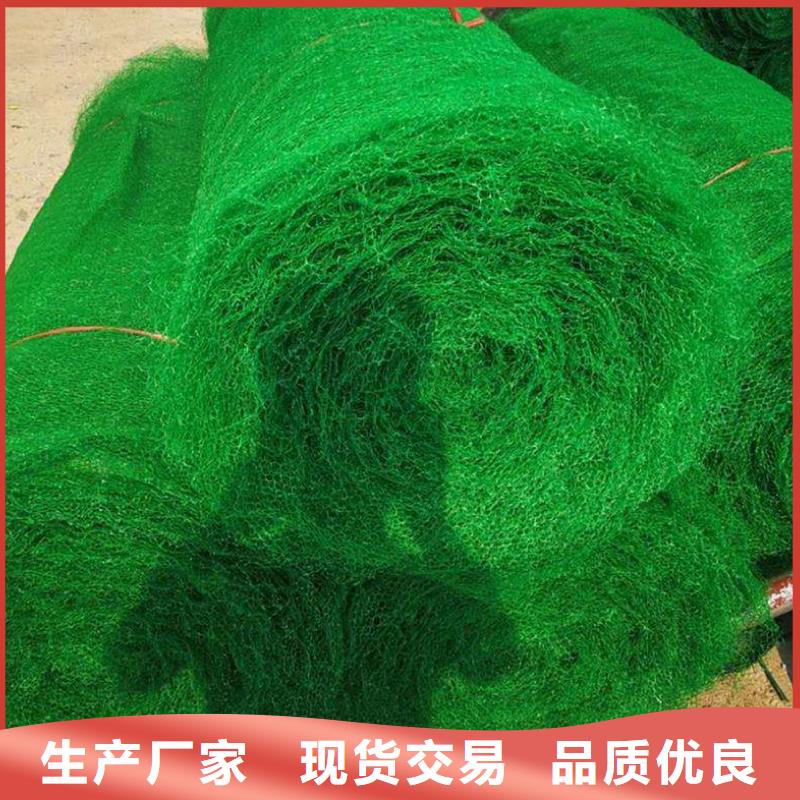 【 三维植被网_蜂巢格室产地批发】 恒丰塑业(防城港市分公司)