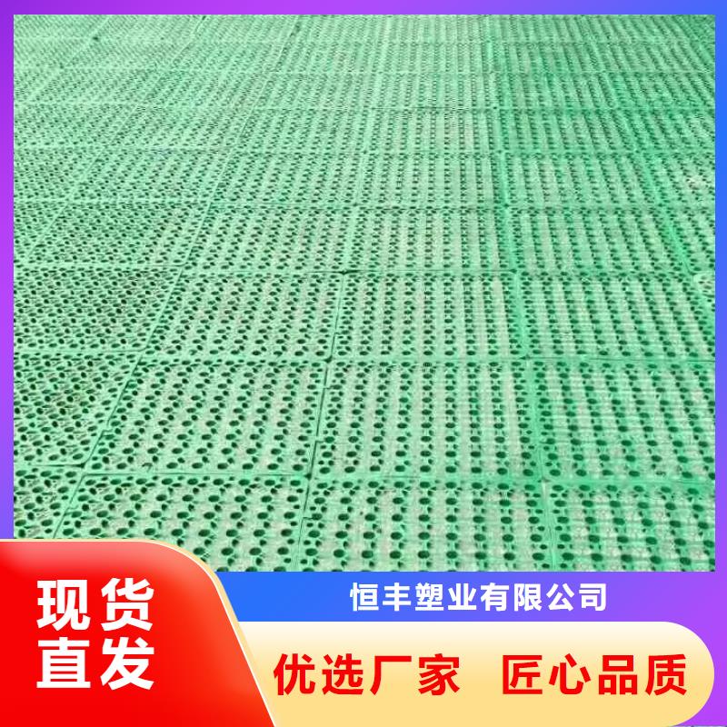 三维植被网防寒布大库存无缺货危机