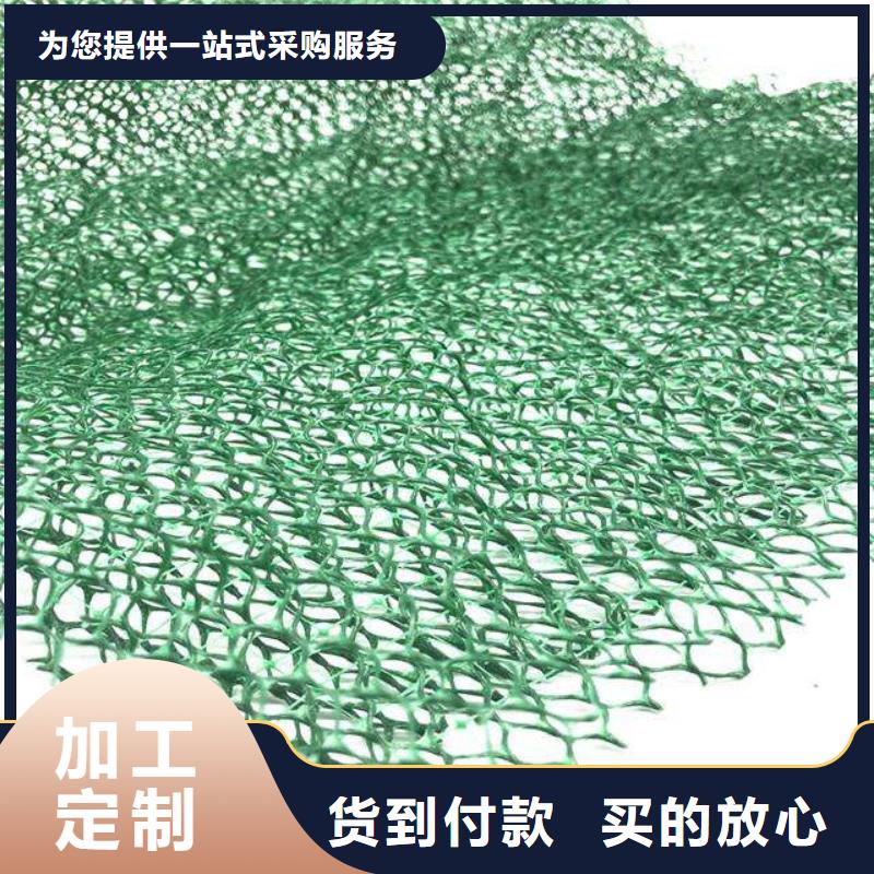 三维植被网,【蜂巢格室】快速物流发货同城品牌