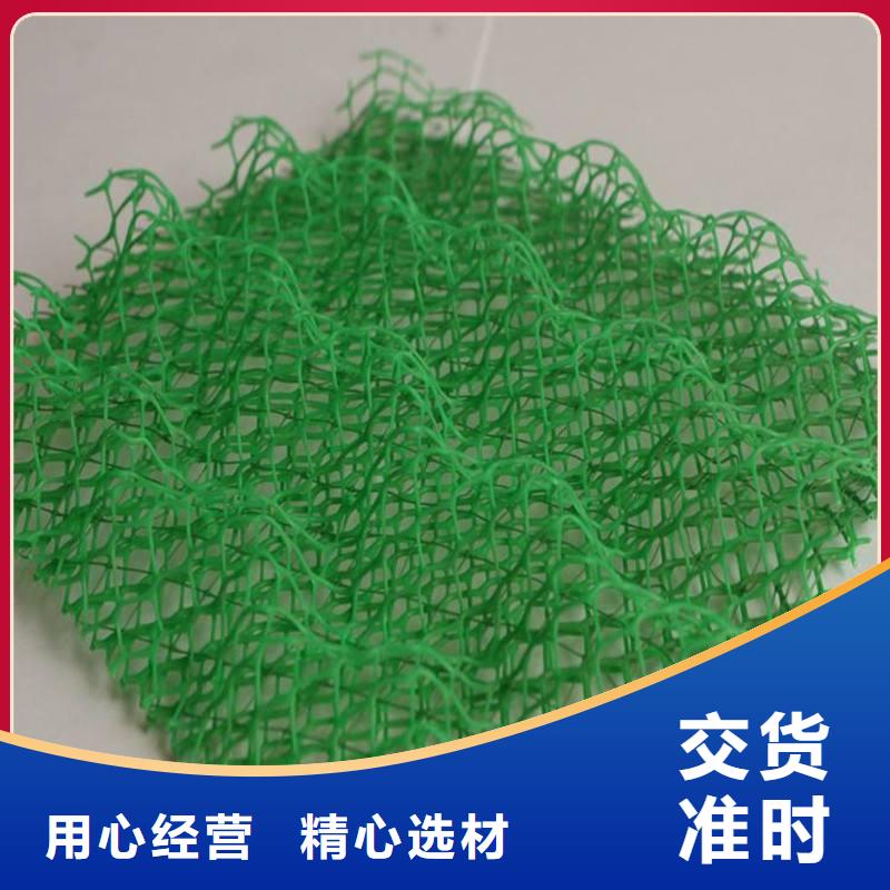 三维植被网玻纤土工格栅厂家售后完善