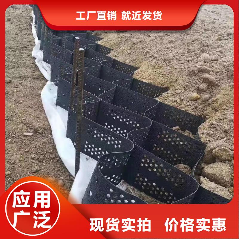 土工格室护坡土工网多种规格供您选择