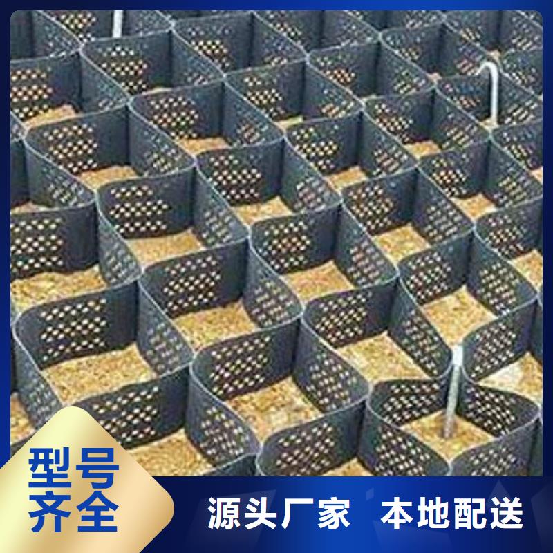 土工格室土工滤网从厂家买售后有保障