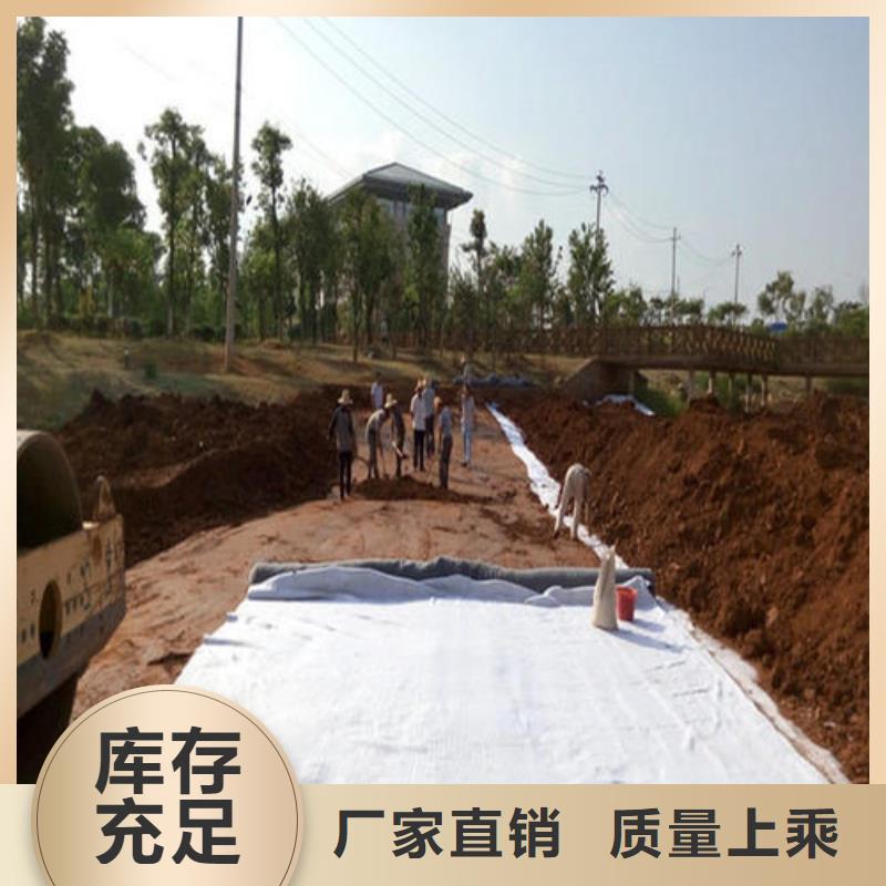 膨润土防水毯土工格室工厂批发