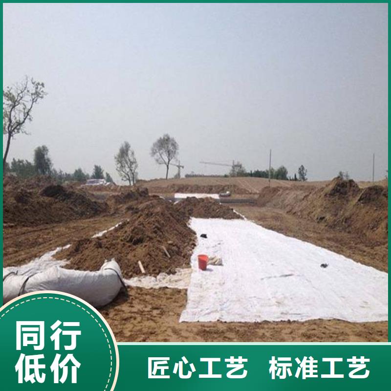 膨润土防水毯护坡土工网细节严格凸显品质