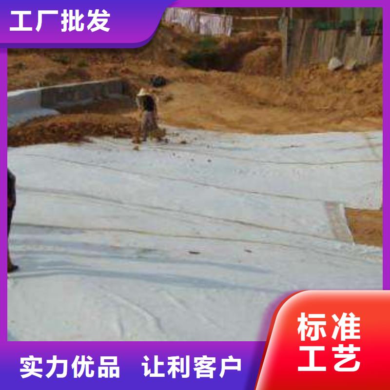膨润土防水毯-PP焊接土工格栅厂家现货批发
