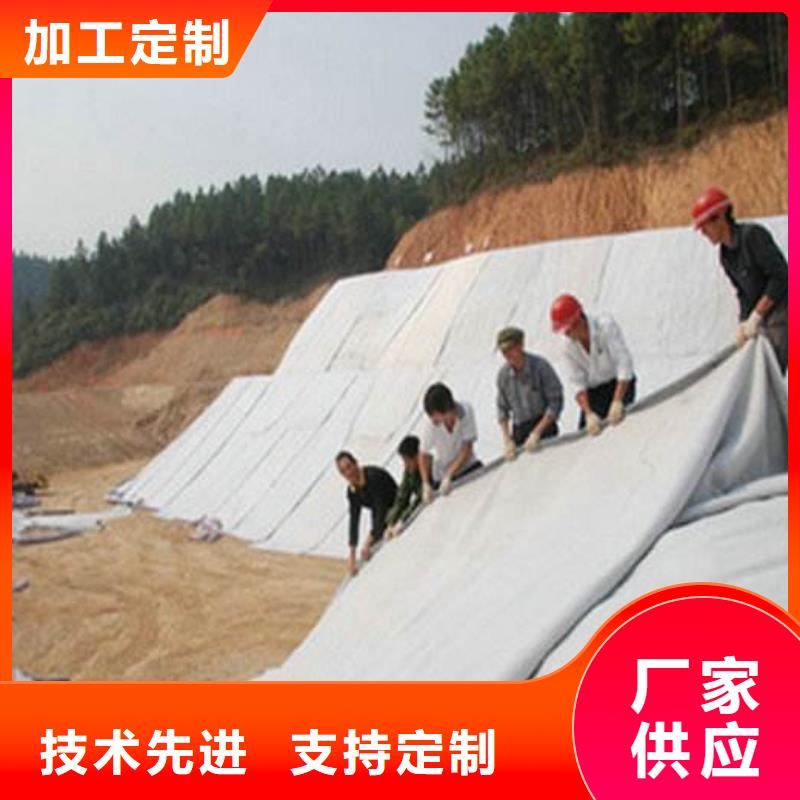 膨润土防水毯PP焊接土工格栅使用寿命长久