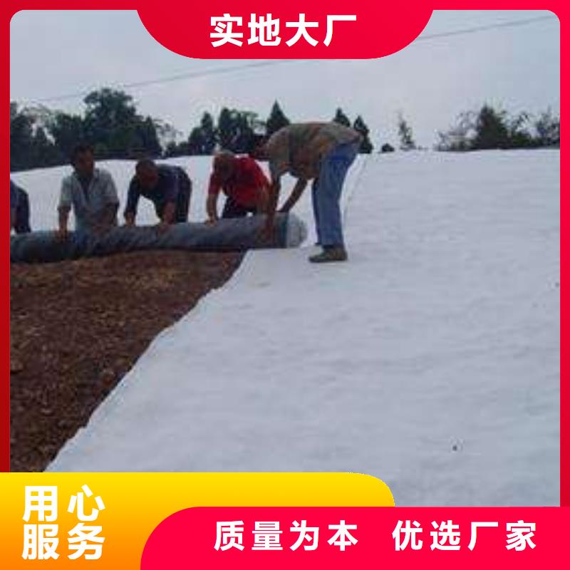 膨润土防水毯,【塑料盲沟】定制批发 恒丰塑业(新疆分公司)