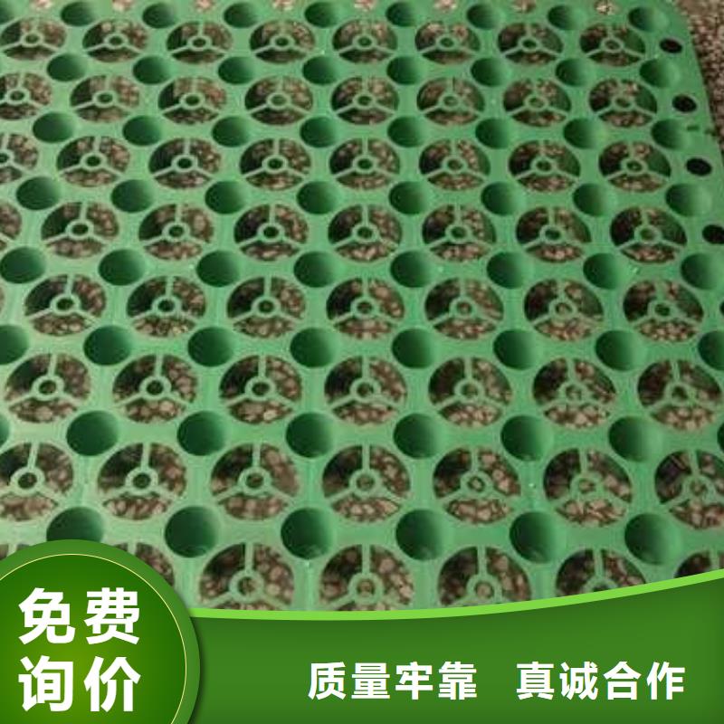排水板,土工滤网大量现货供应