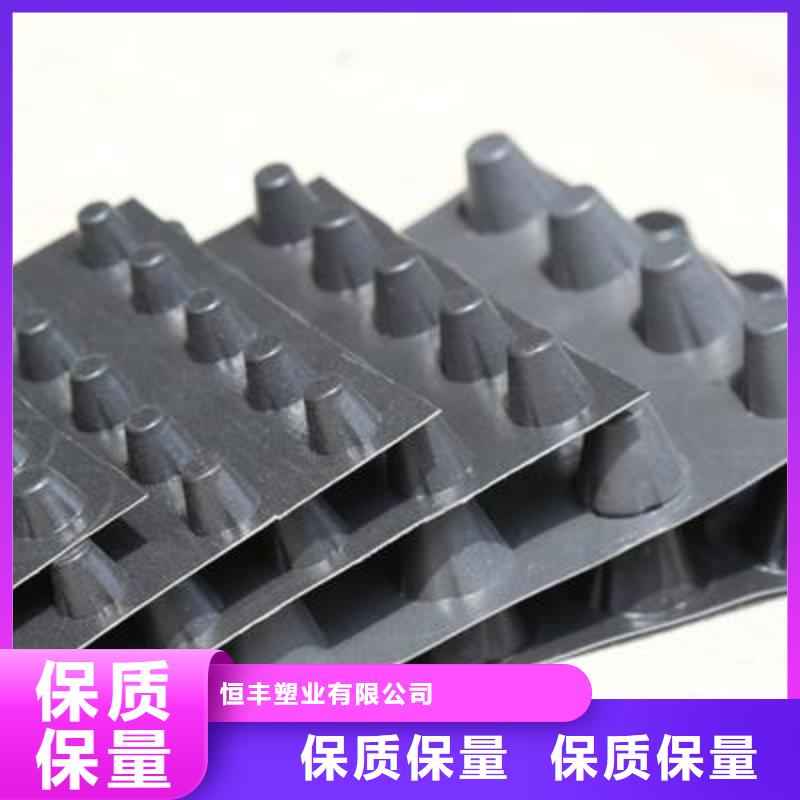 排水板-护坡土工网品种全