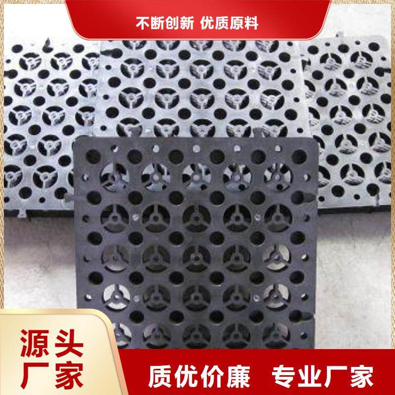 恒丰排水板_【HDPE土工膜】厂家直销值得选择-业务覆盖区域|桂平|港北|来宾|柳州|桂林|河池|玉林|北海|南宁-云商赢企