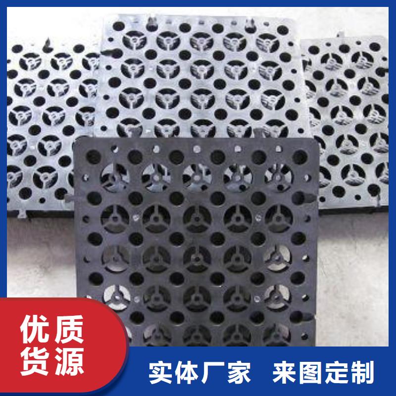 排水板-护坡土工网品种全