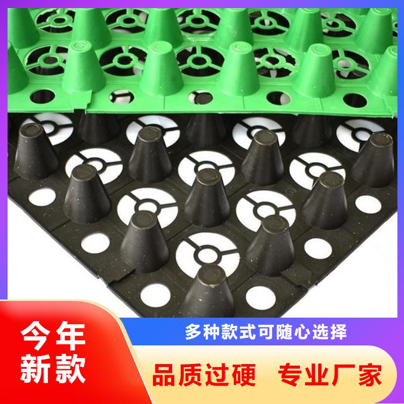 排水板 【蜂巢格室】产品细节参数恒丰加筋布