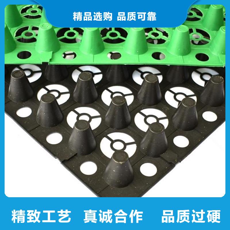 排水板涤纶土工格栅厂家直销大量现货