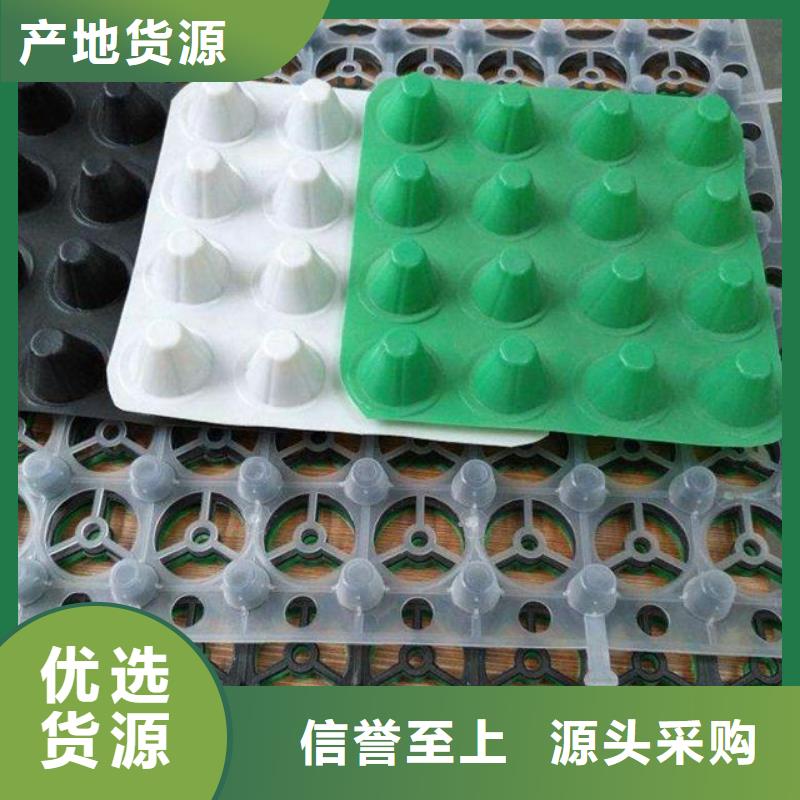 排水板,土工滤网大量现货供应