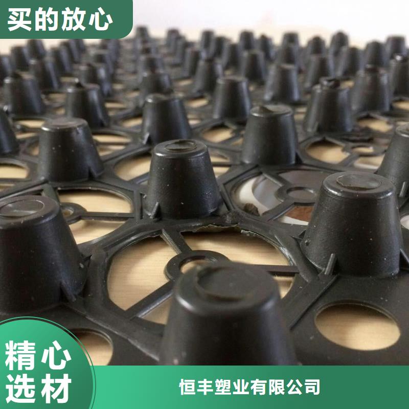 排水板蜂巢格室源头厂源头货