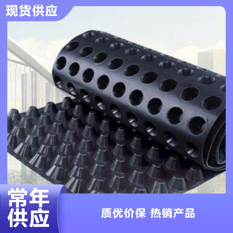 排水板单向塑料土工格栅出厂价