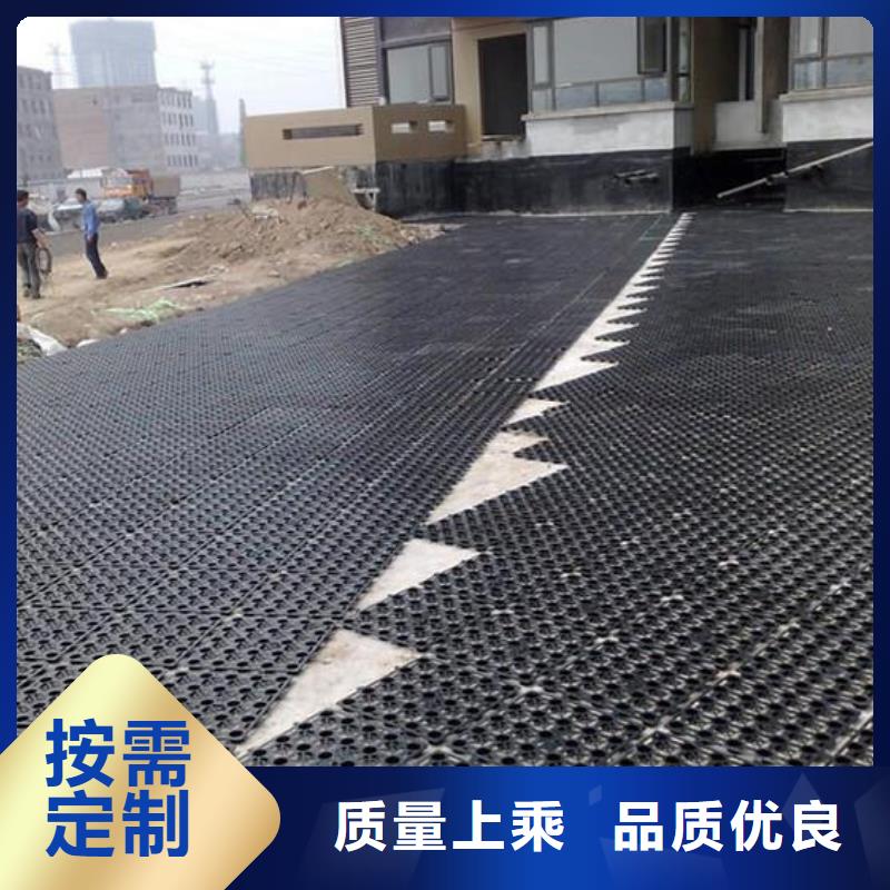 排水板单向塑料土工格栅出厂价