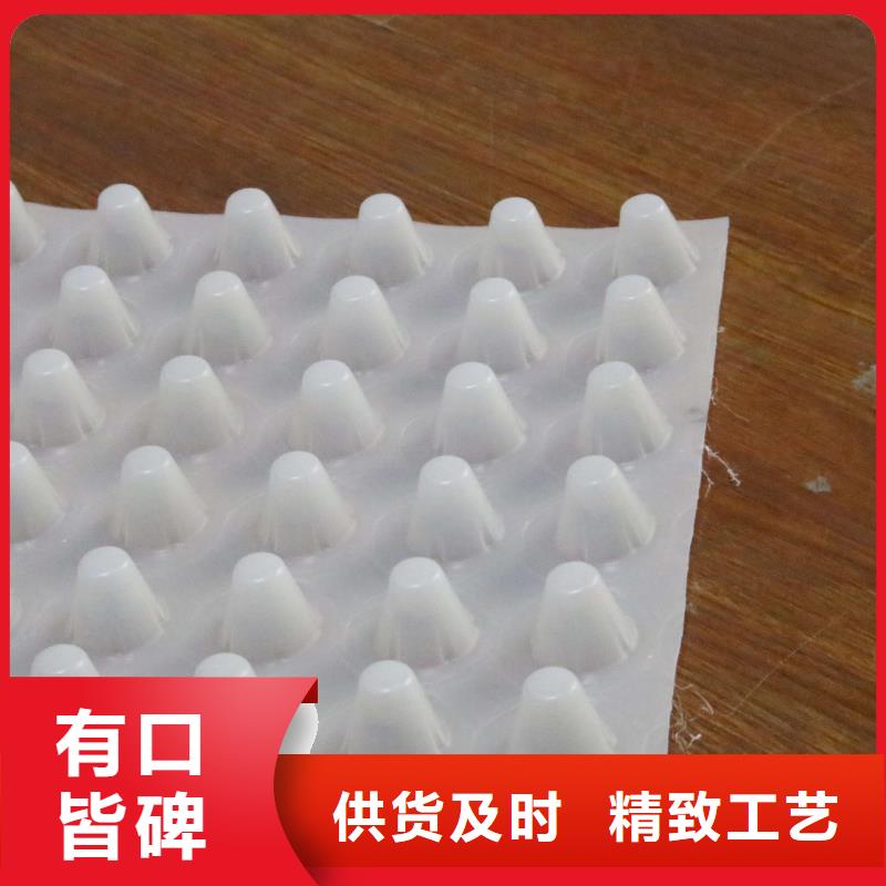 排水板-护坡土工网品种全