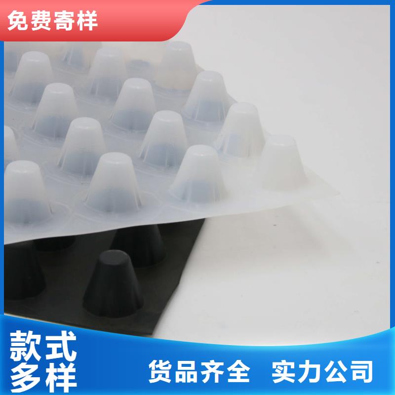 排水板蜂巢格室源头厂源头货