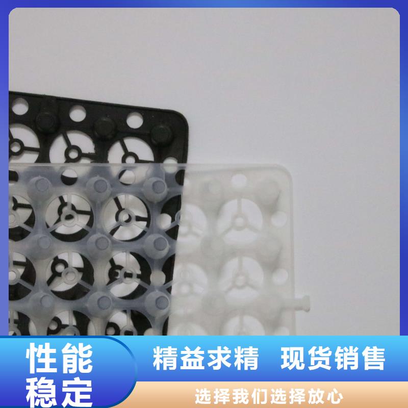 排水板单向塑料土工格栅出厂价