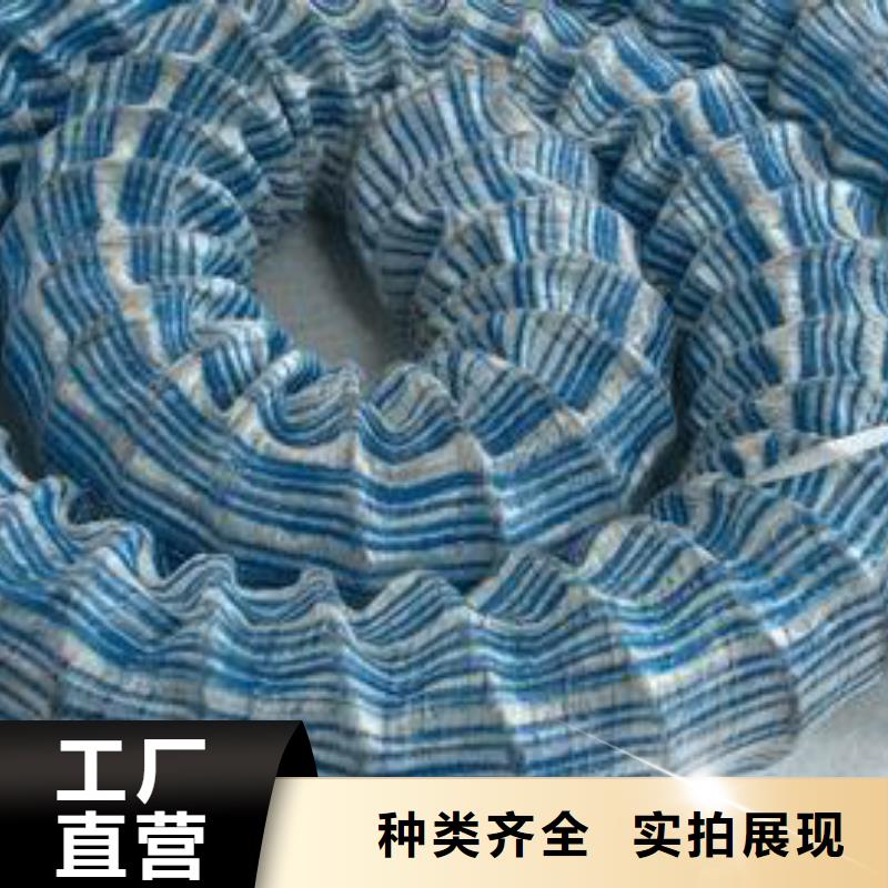 软式透水管防渗土工膜专业生产N年