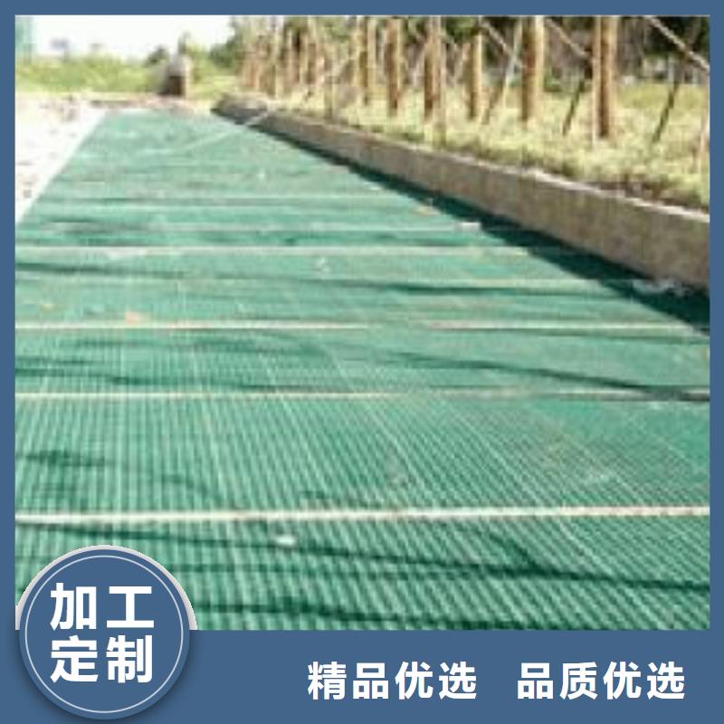 【植草格】三维植被网N年专注