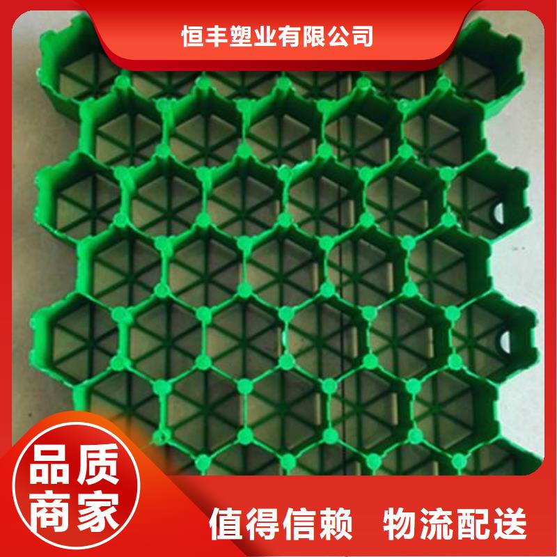 【植草格】三维植被网N年专注