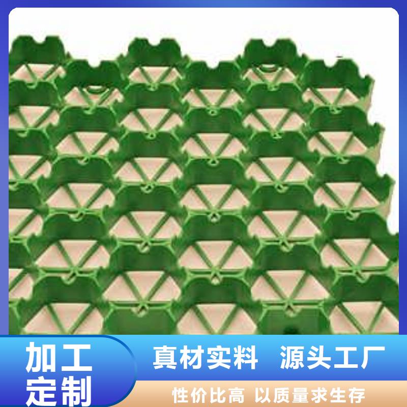 【植草格】_土工格室来电咨询同城品牌