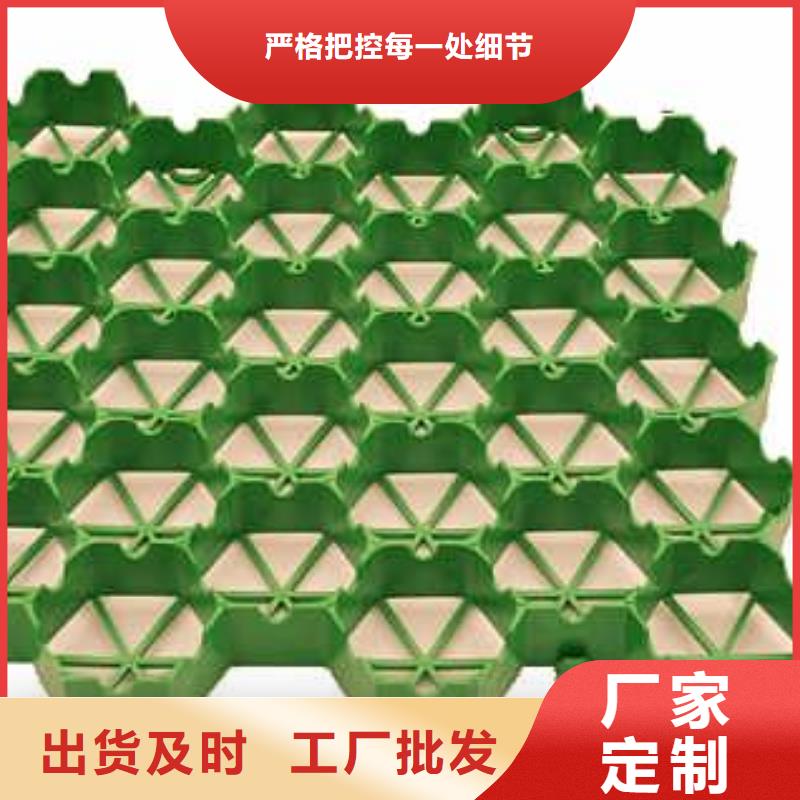 植草格,【双向拉伸塑料格栅】实体诚信厂家覆盖范围含|广德|宣州|安庆|铜陵|芜湖|马鞍山