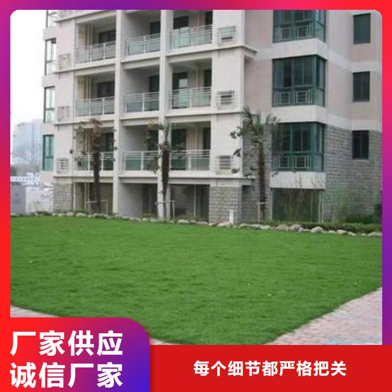 植草格,塑料土工滤网精选好货
