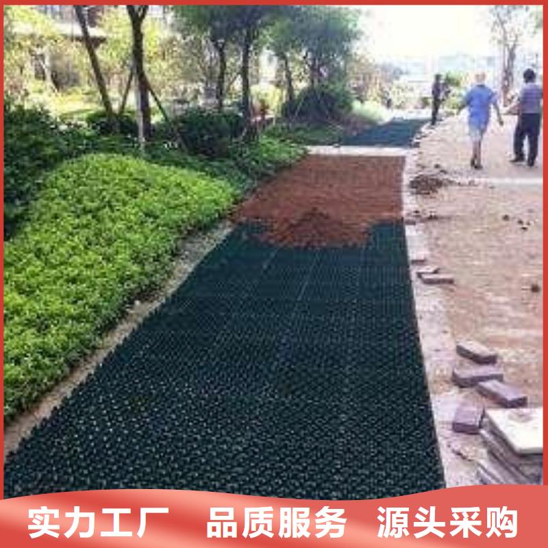 植草格,【双向拉伸塑料格栅】实体诚信厂家覆盖范围含|广德|宣州|安庆|铜陵|芜湖|马鞍山