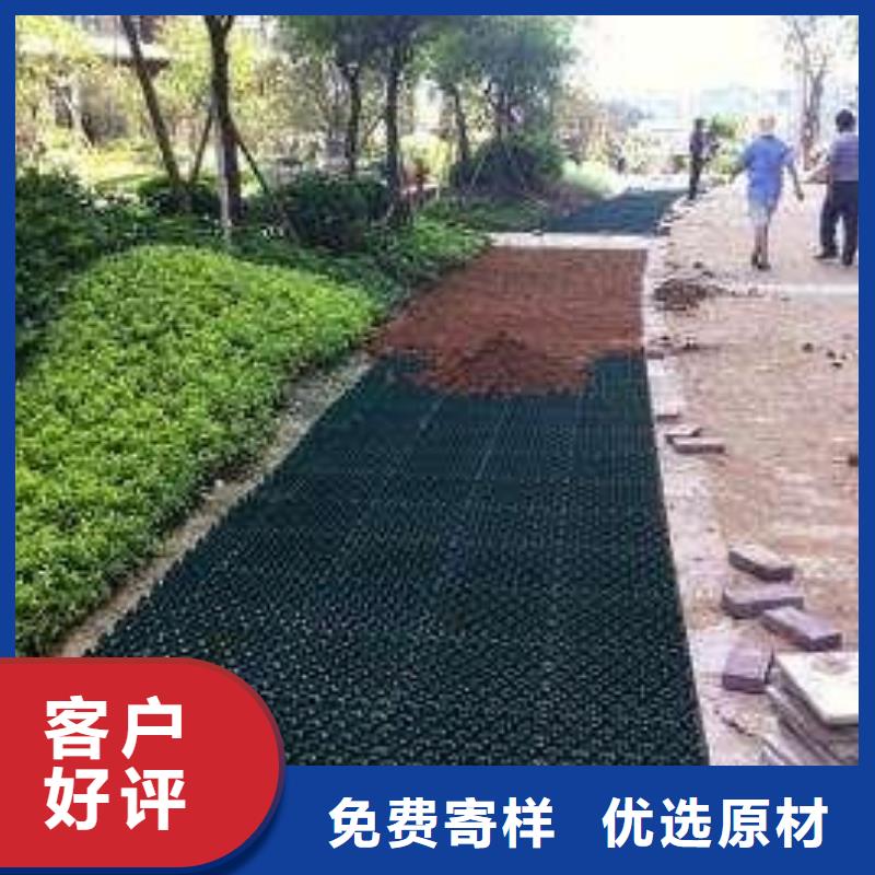 植草格,塑料土工滤网精选好货