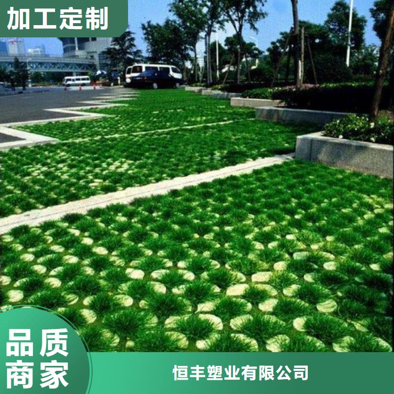 【植草格】三维植被网N年专注