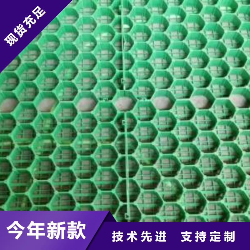 植草格土工席垫服务至上