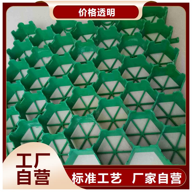 【植草格HDPE土工膜厂家直接面向客户】