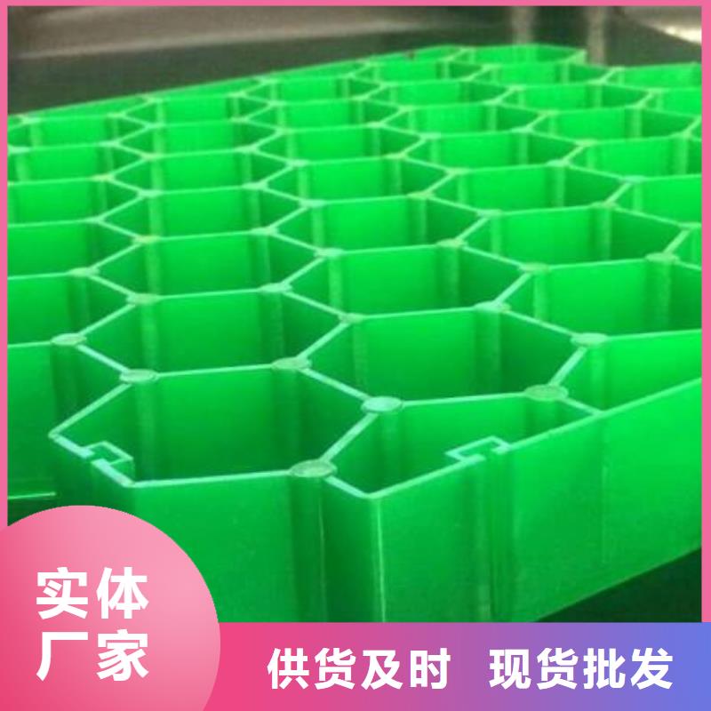 【植草格HDPE土工膜厂家直接面向客户】