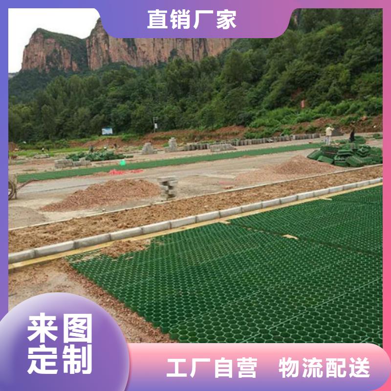 【植草格】三维植被网N年专注