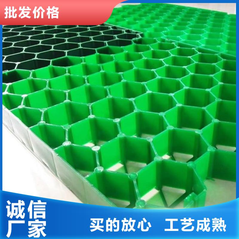 植草格,防渗土工膜精选好货