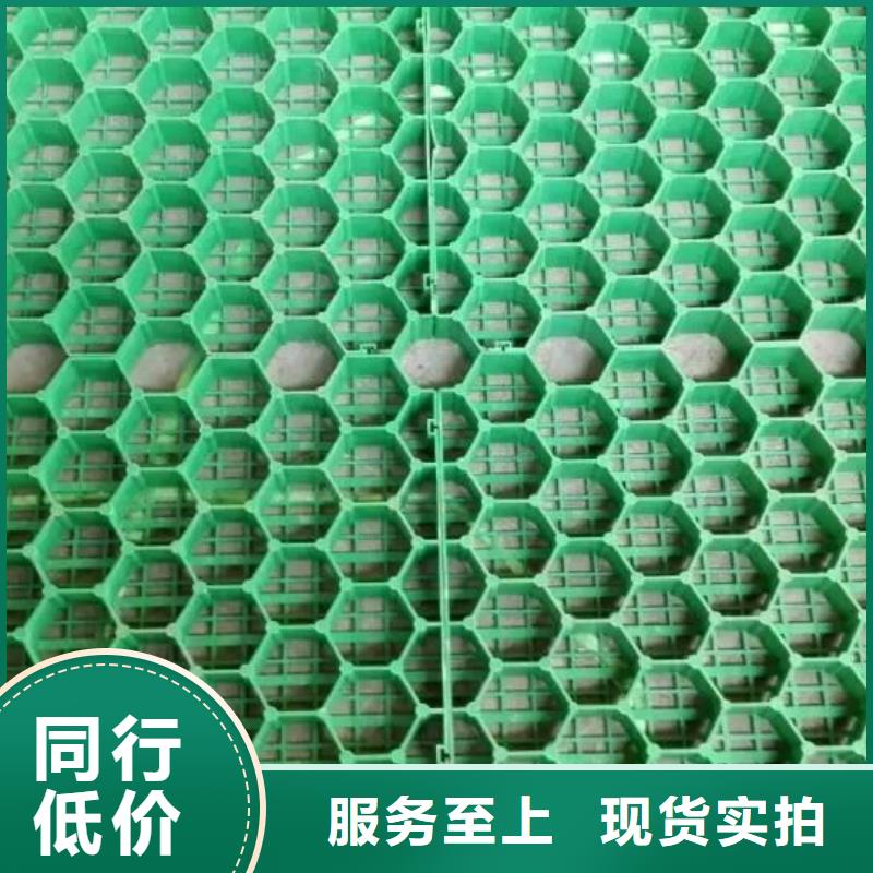 【植草格】_土工格室来电咨询同城品牌