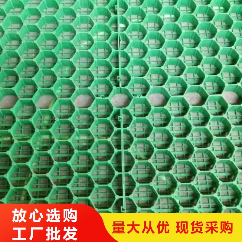 植草格土工席垫服务至上