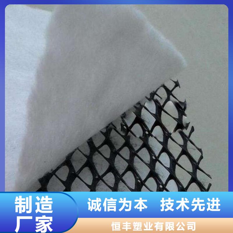 三维复合排水网聚乙烯土工膜专业生产设备