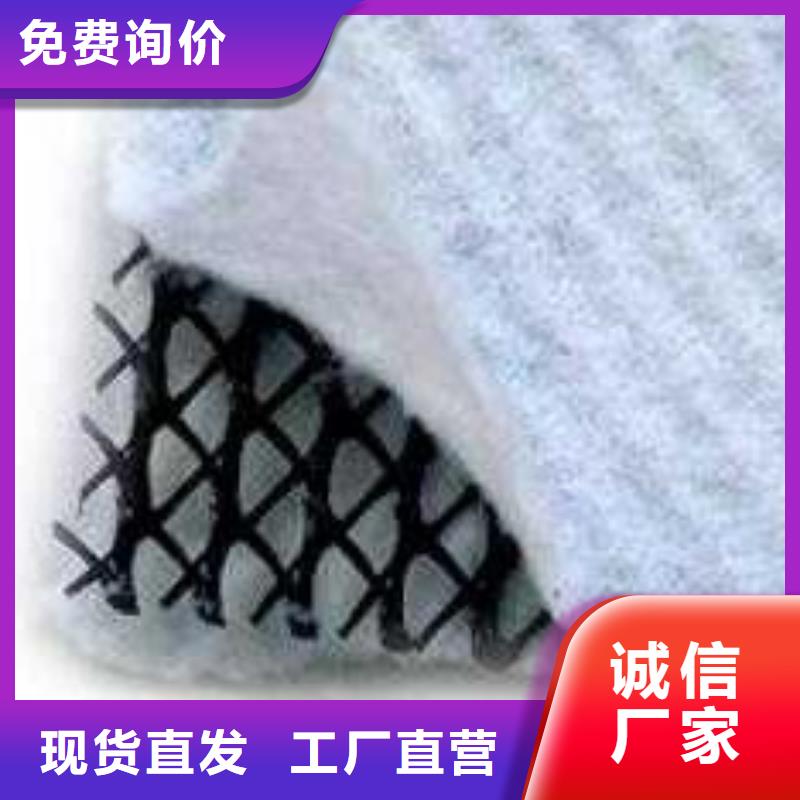 三维复合排水网精选厂家好货-恒丰塑业(山东省分公司)
