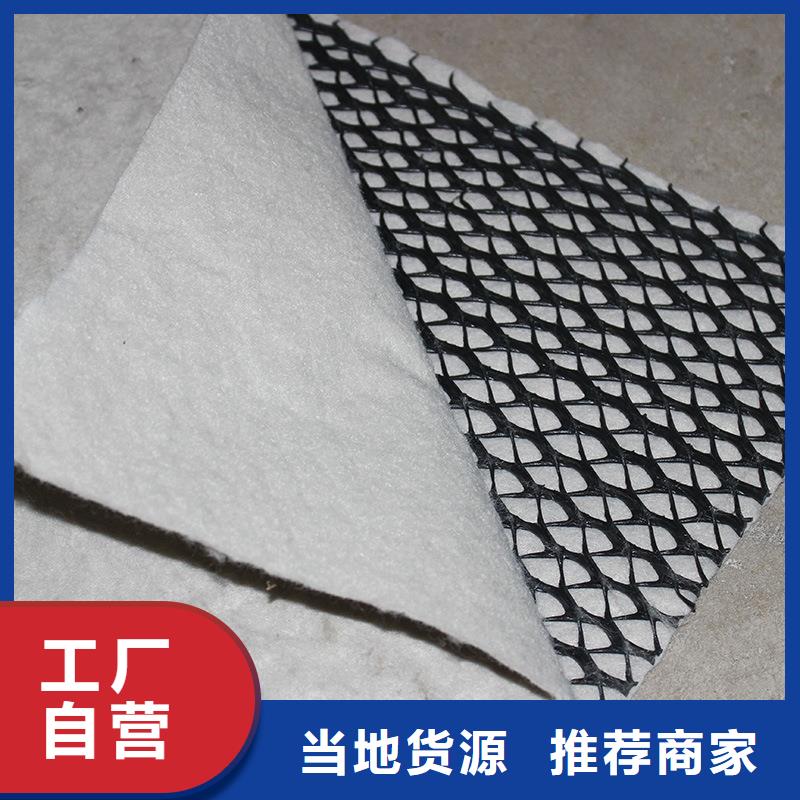 三维复合排水网双向塑料土工格栅品质无所畏惧