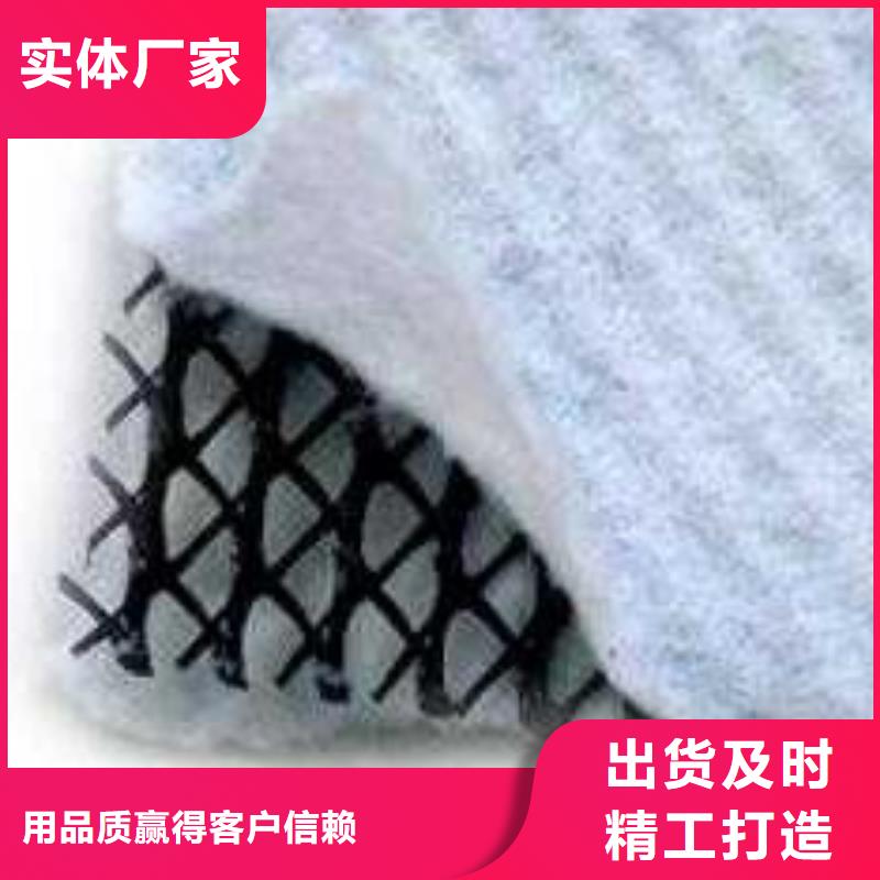 三维复合排水网凸结点钢塑土工格栅源头厂家经验丰富